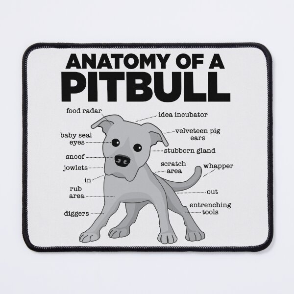 Item preview, Anatomy of a Pitbull designed and sold by mstiv.