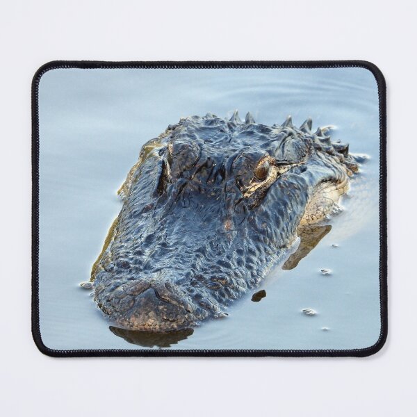 Item preview, Alligator  designed and sold by lovgeorgia.