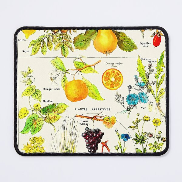 Item preview, Vintage Botanical Plante Aperitive designed and sold by Leilaarros.