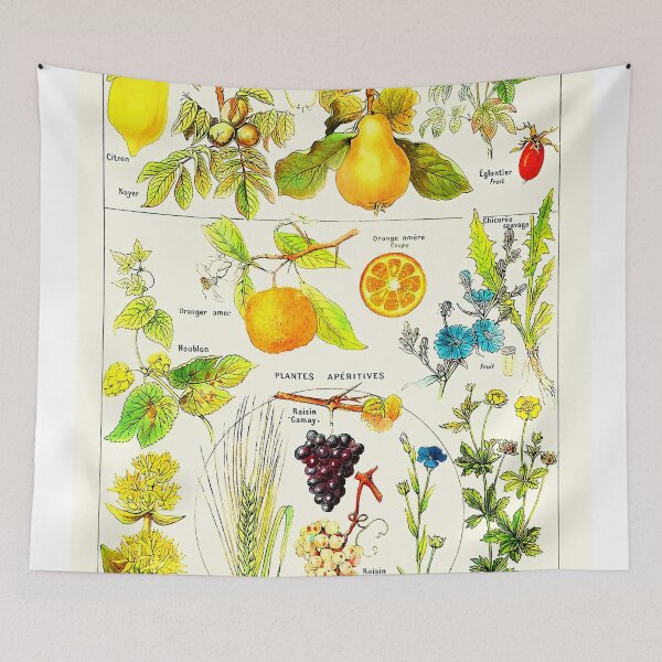 Item preview, Vintage Botanical Plante Aperitive designed and sold by Leilaarros.