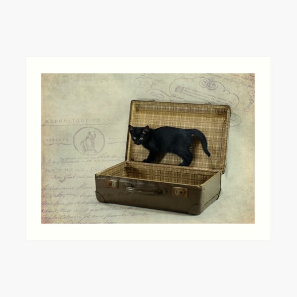 I am ready to travel … Art Print