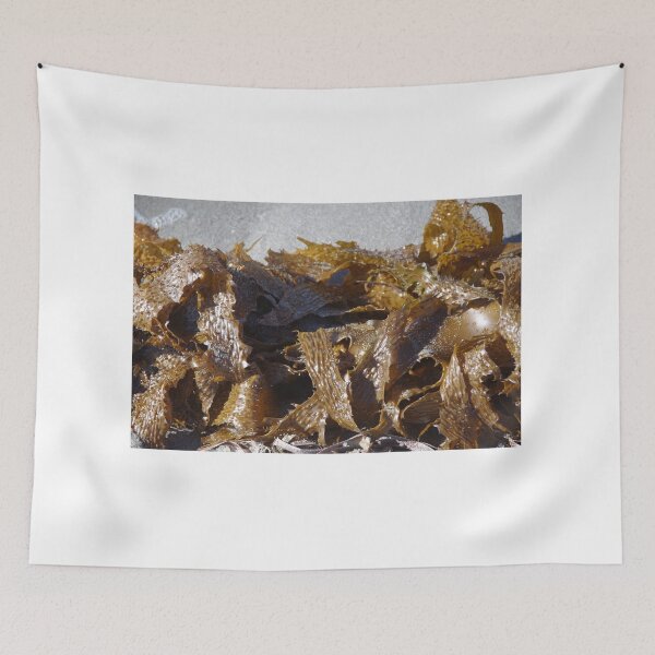 Item preview, A Tangle Of Seaweed at Safety Bay WA designed and sold by lezvee.