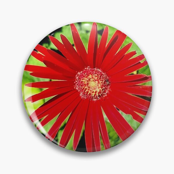 Item preview, RED GERBERA designed and sold by Steffi August.