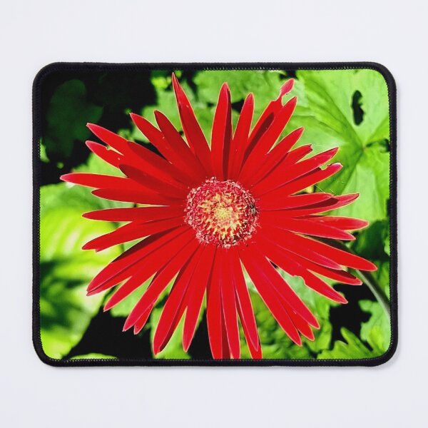 Item preview, GERBERA ROJA designed and sold by Steffi August.