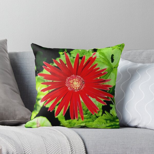 Aperçu de l'œuvre GERBERA ROUGE créée et vendue par Steffi August.
