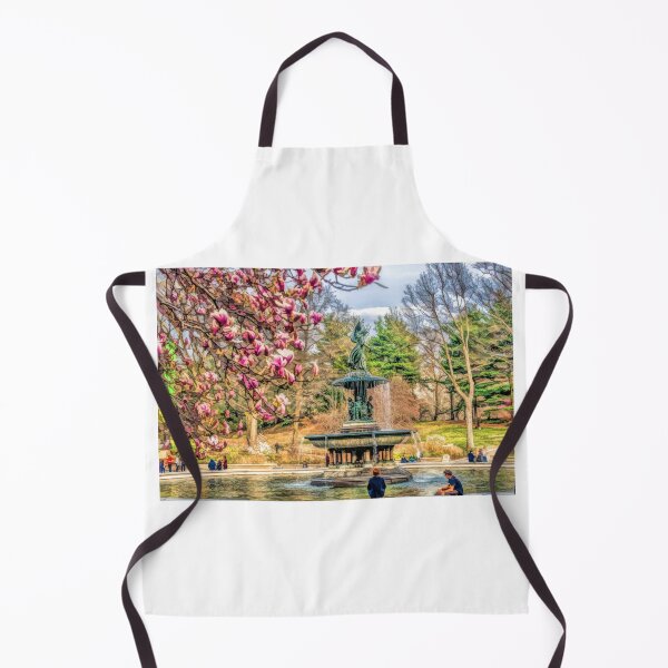 Item preview, New York City Central Park Bethesda Fountain Blossoms designed and sold by Christopher Arndt.