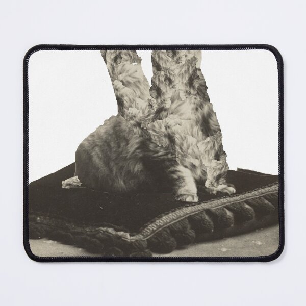 Item preview, Weird cat designed and sold by AWAarts.