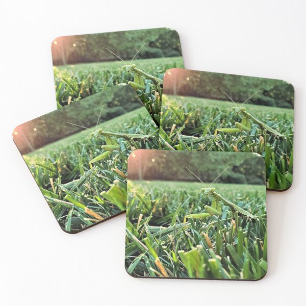 Item preview, Praying Mantis of the Suburbs designed and sold by VinnieVentures.