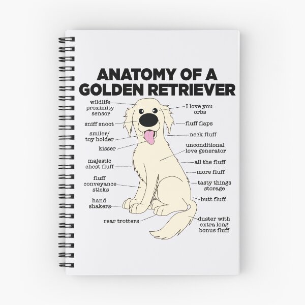 Item preview, Anatomy of a Golden Retriever designed and sold by mstiv.