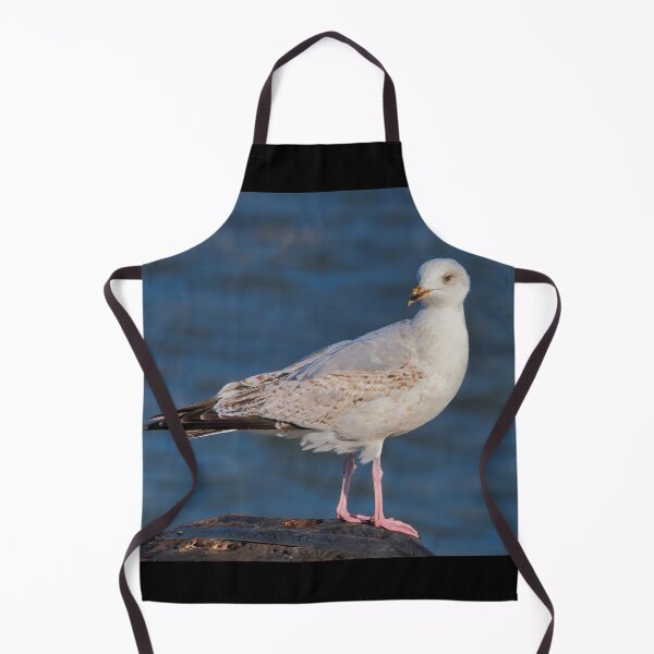 Item preview, Herring Gull at lyme Regis Harbour designed and sold by Dorset Girl.