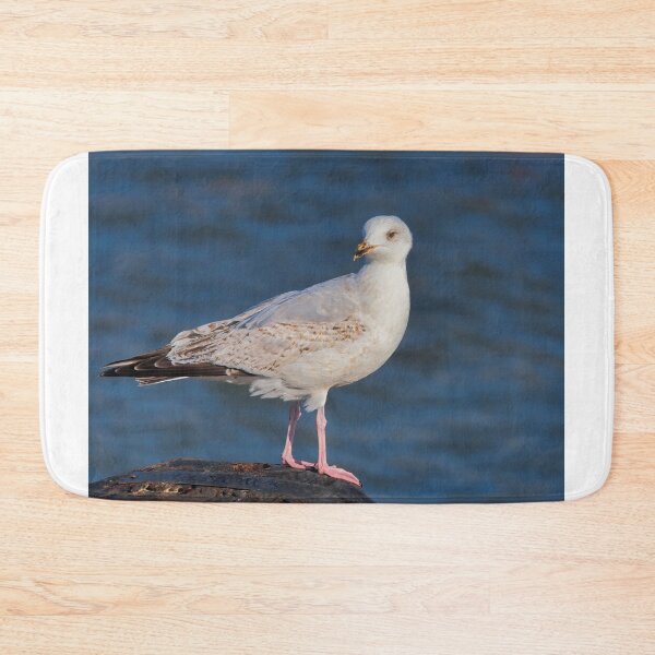 Item preview, Herring Gull at lyme Regis Harbour designed and sold by Dorset Girl.