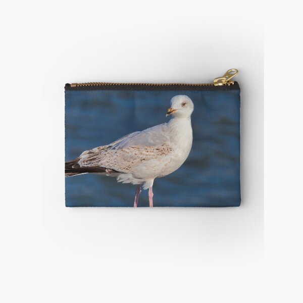 Item preview, Herring Gull at lyme Regis Harbour designed and sold by Dorset Girl.