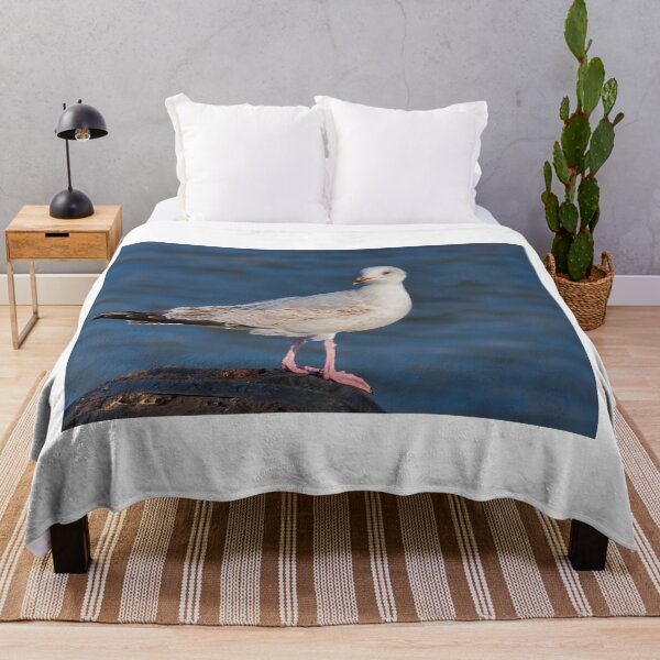 Item preview, Herring Gull at lyme Regis Harbour designed and sold by Dorset Girl.