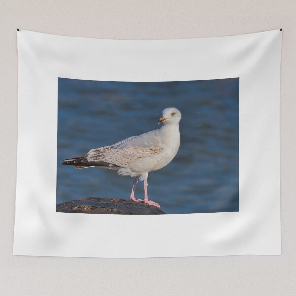 Item preview, Herring Gull at lyme Regis Harbour designed and sold by Dorset Girl.