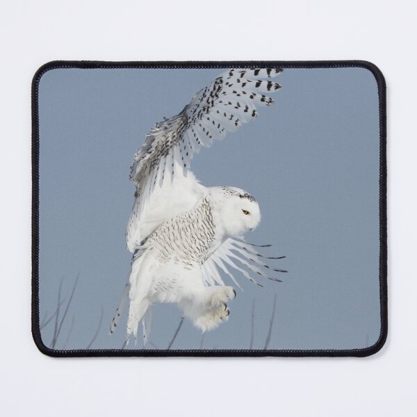 Item preview, Air Acrobat  designed and sold by locustgirl.