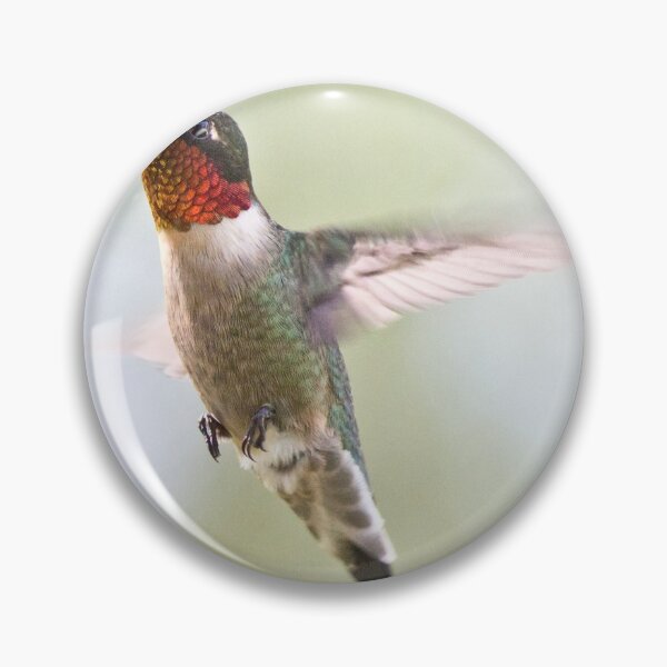 Item preview, Ruby-throated Hummingbird designed and sold by lovgeorgia.
