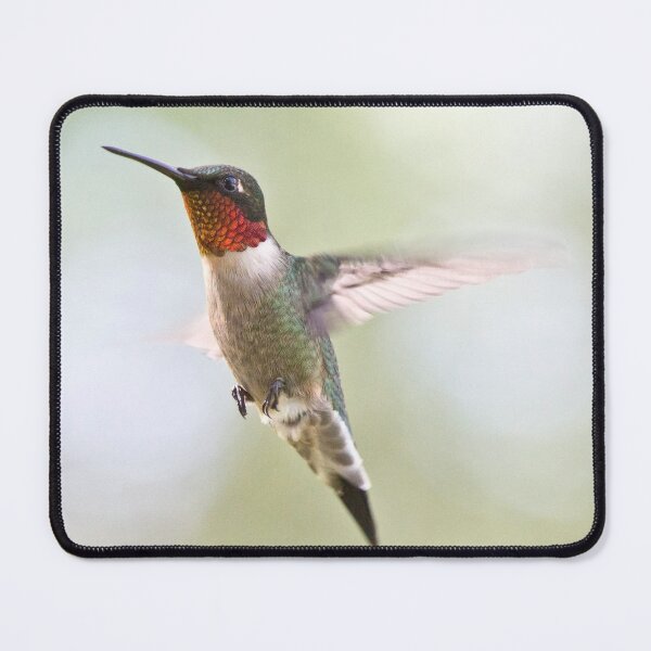 Item preview, Ruby-throated Hummingbird designed and sold by lovgeorgia.