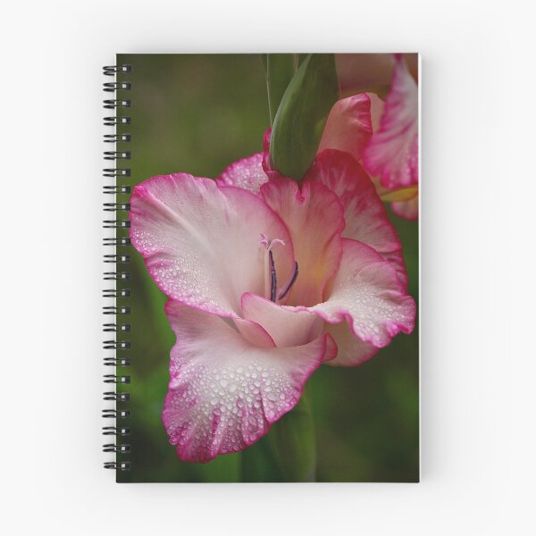 Item preview, Dewy Gladiolus designed and sold by tasturm1.