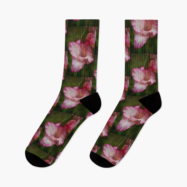 Item preview, Dewy Gladiolus designed and sold by tasturm1.