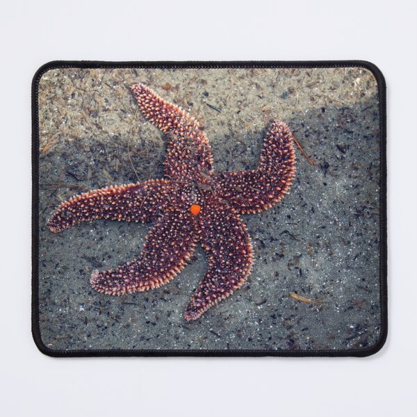 Item preview, Starfish  designed and sold by lovgeorgia.