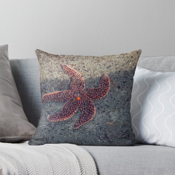 Item preview, Starfish  designed and sold by lovgeorgia.