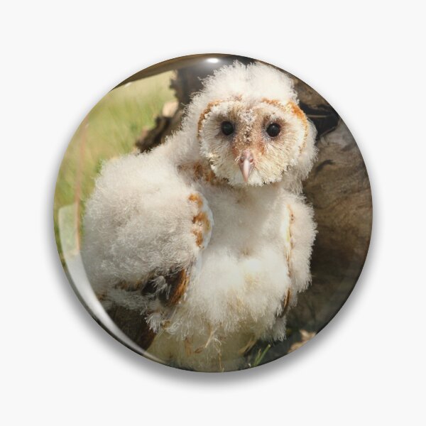 Item preview, Cotton Owl designed and sold by locustgirl.