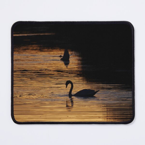 Item preview, Swan in Silhouette. designed and sold by GingerMan2550.