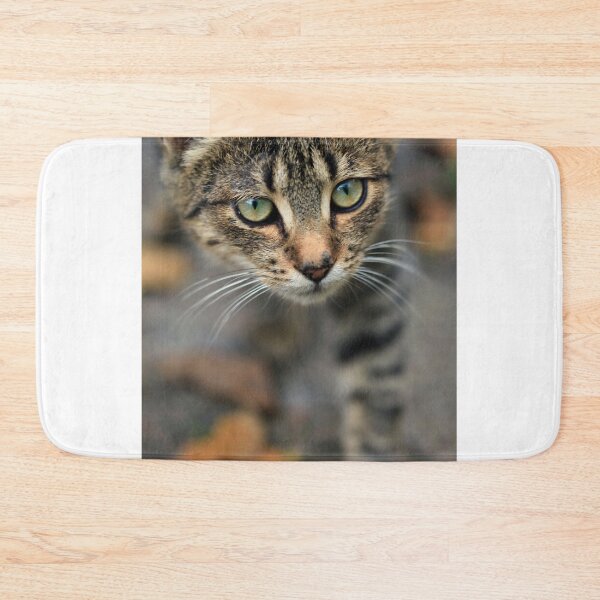 Item preview, Portrait of grey wild cat designed and sold by olena2552.
