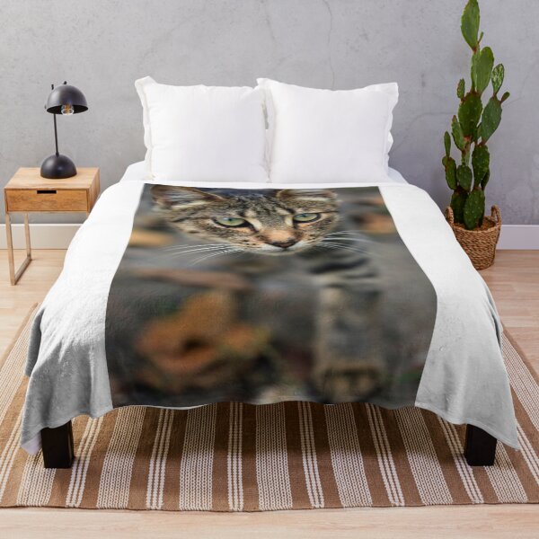 Item preview, Portrait of grey wild cat designed and sold by olena2552.
