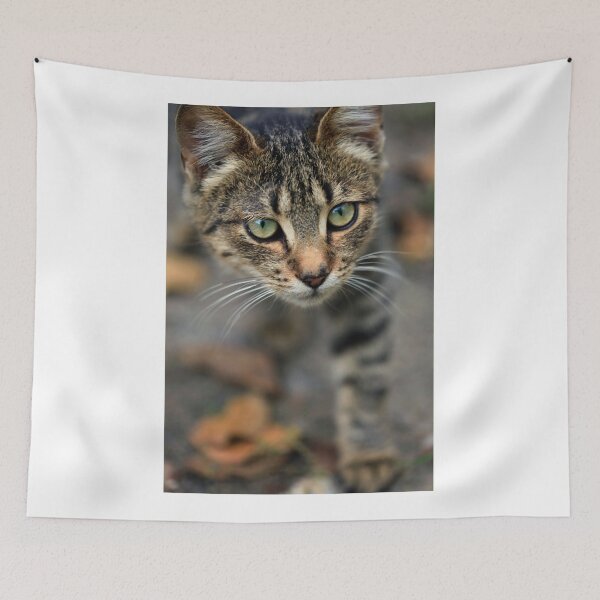Item preview, Portrait of grey wild cat designed and sold by olena2552.
