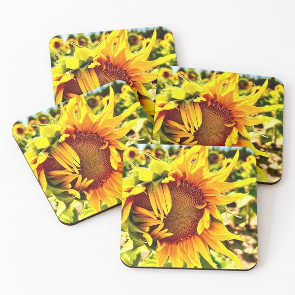 Item preview, Sunflower Photograph Photography designed and sold by Jeda1429.