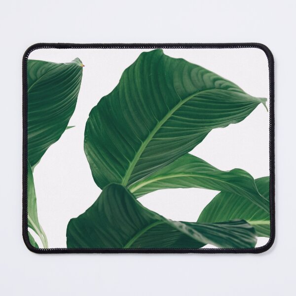 Item preview, Tropical Palm Tree Leaf designed and sold by newburyboutique.