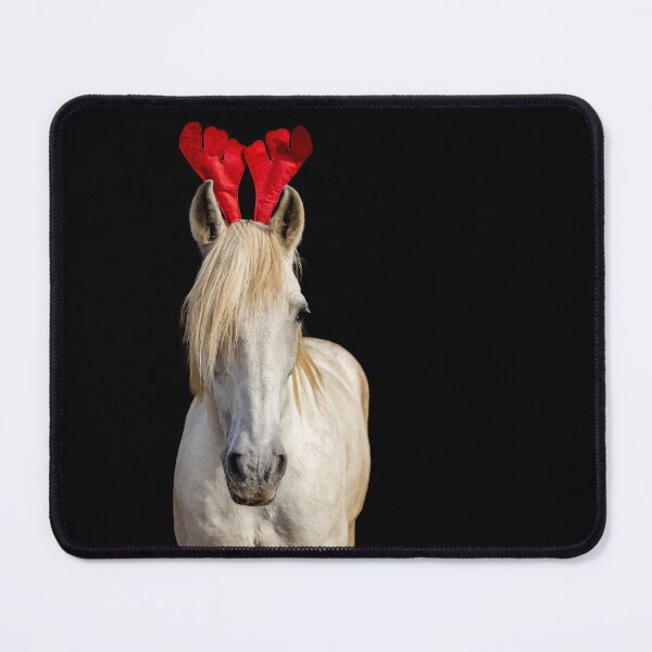 Item preview, Christmas Lusitano horse, black background, cute and funny, red hat.  designed and sold by AylaHarbich.
