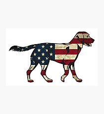 American Flag Dog Sticker Photographic Print