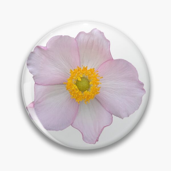Item preview, Pink Anemone Flower Still Life Floral Photography designed and sold by CottoVerdi.