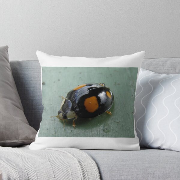 Item preview, Ladybird designed and sold by Terry Senior.
