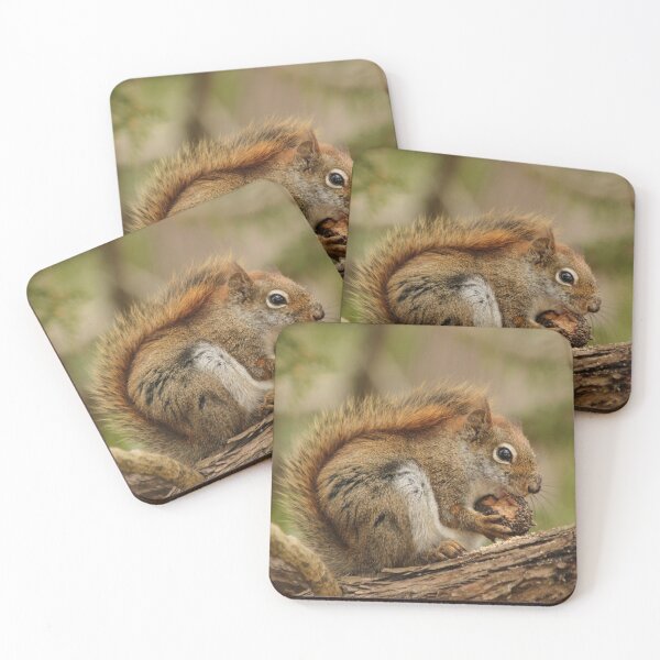 Item preview, My day is nuts designed and sold by locustgirl.