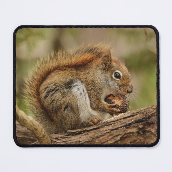 Item preview, My day is nuts designed and sold by locustgirl.