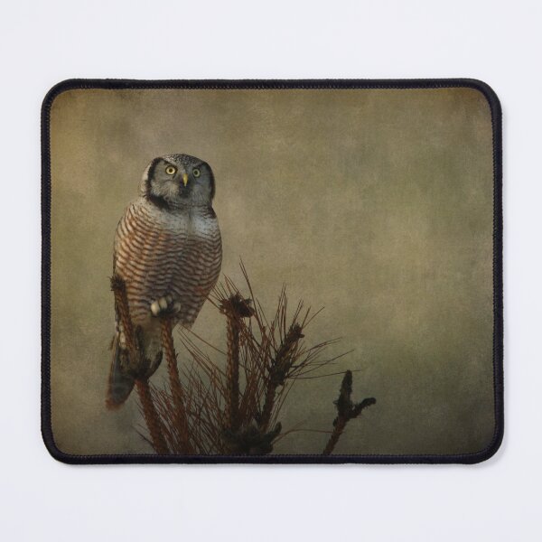 Item preview, The great orator designed and sold by locustgirl.