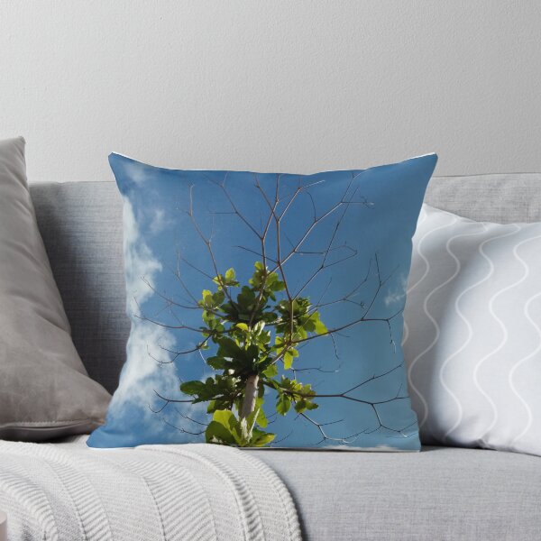 Item preview, Árbol de playa en el mar con hojas secas de Majagual, Nicaragua designed and sold by Galaxyvas.