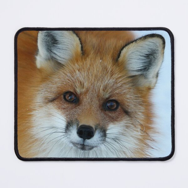 Things are looking up Mouse Pad
