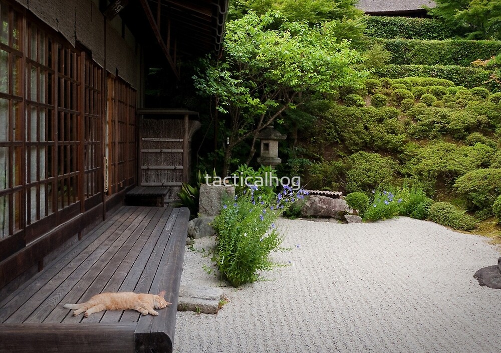 "Zen garden cat" by tacticalhog Redbubble