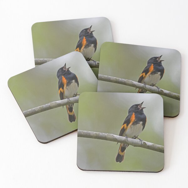 Item preview, American Redstart Photo designed and sold by LauraWolfArtist.