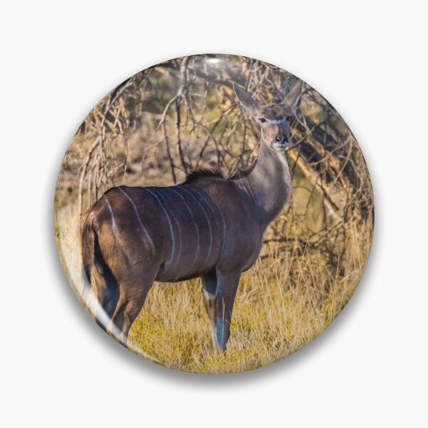Item preview, Kudu, Namibia designed and sold by Lyl Dil Creations.