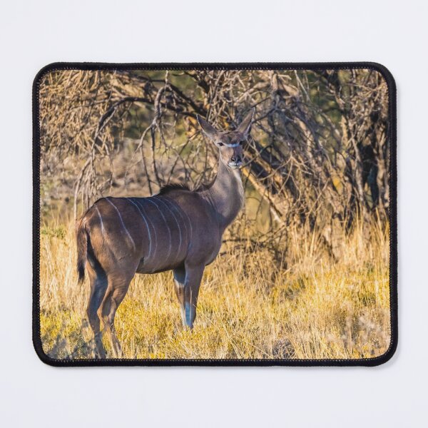 Item preview, Kudu, Namibia designed and sold by Lyl Dil Creations.