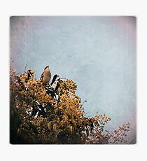 LaLaLa Photographic Print