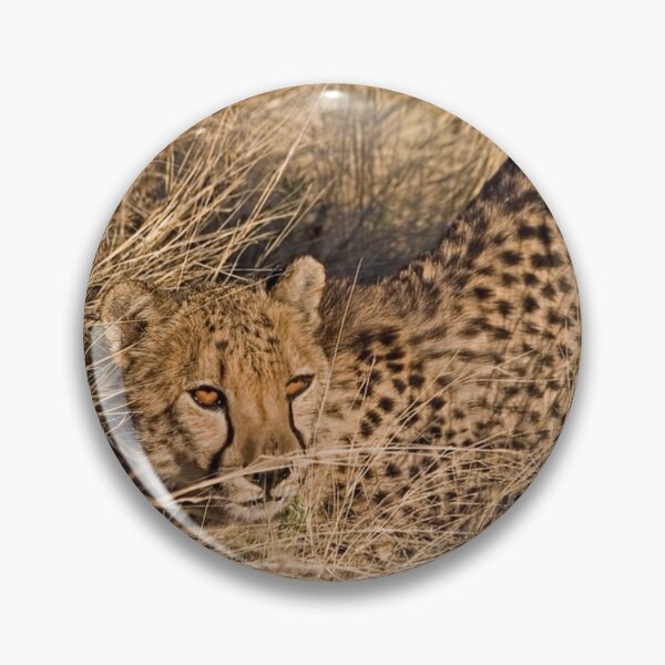 Item preview, Will You Play With Me? designed and sold by naturesdreams.