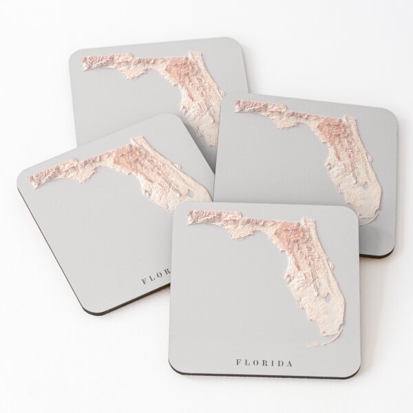 Item preview, Florida Relief Map 3D digitally-rendered designed and sold by ThinkAboutMaps.