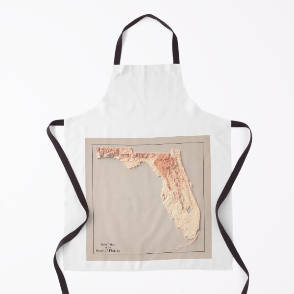 Item preview, Florida Relief Map 3D digitally-rendered designed and sold by ThinkAboutMaps.
