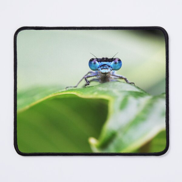 Item preview, Damselfly Smile designed and sold by Siene Browne.